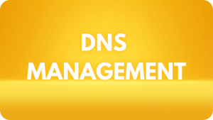 Futureroots offer one click bulk DNS management services